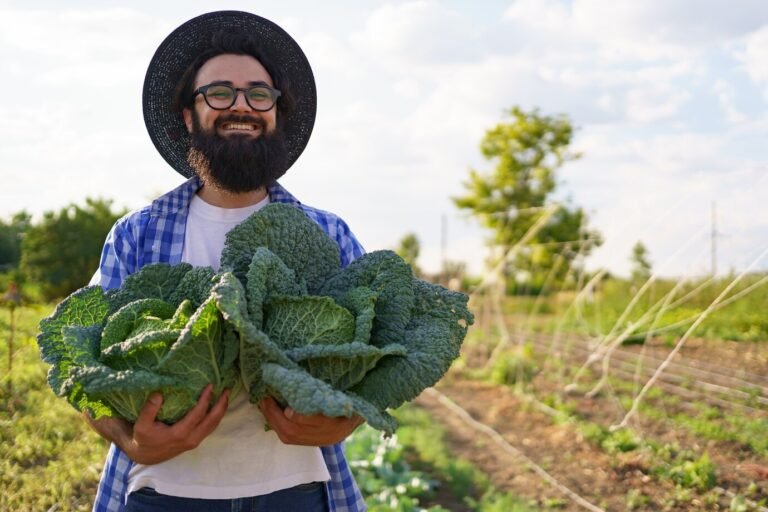 Travail intérimaire roumain en agriculture : Une solution efficace pour le secteur agricole français