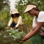 Ouvriers roumains en agriculture : La contribution essentielle des intérimaires roumains