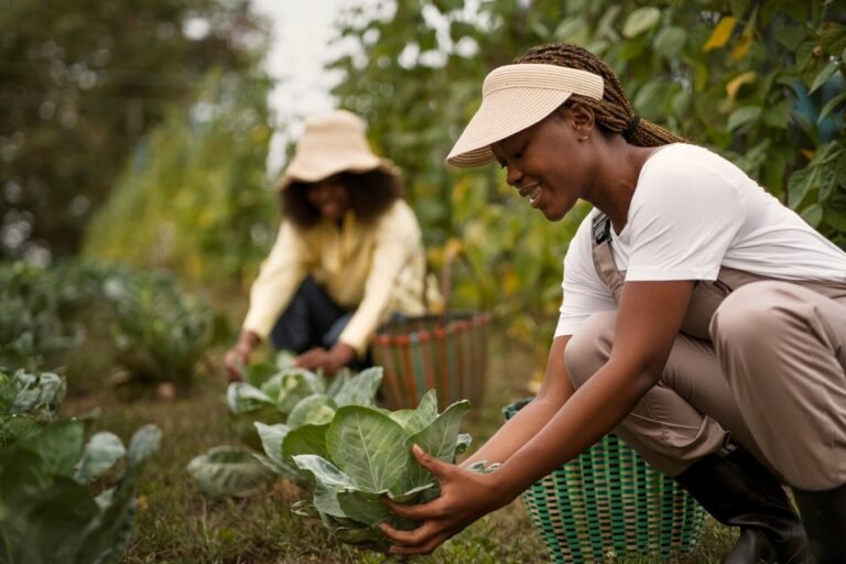 Ouvriers roumains en agriculture : La contribution essentielle des intérimaires roumains